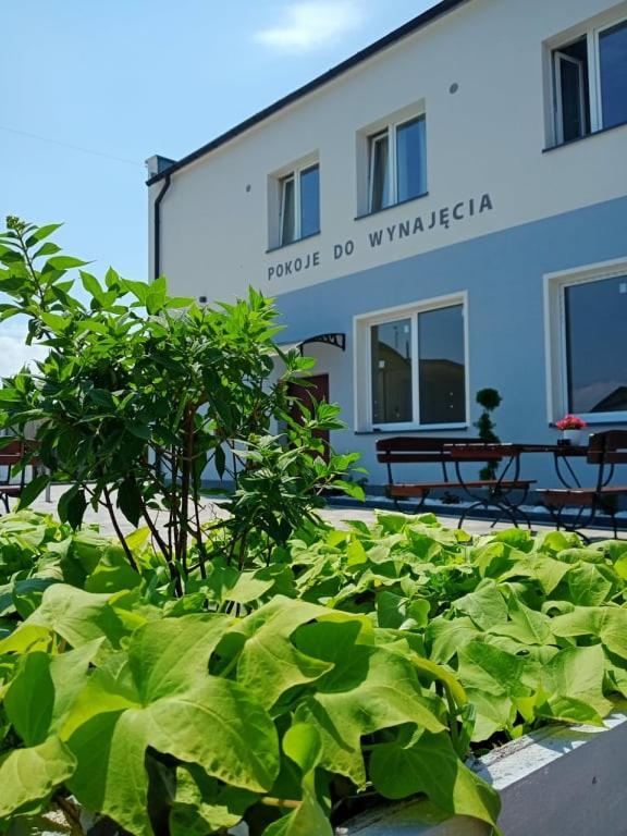 Aparthotel Pod Kogucikiem Krzyzanowice Exterior foto